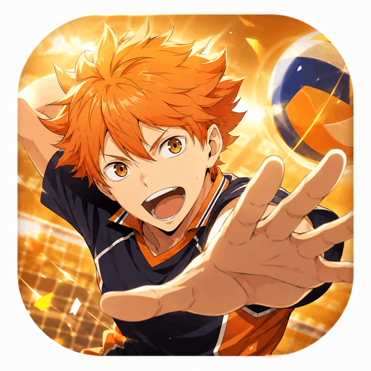 Haikyu Fly High